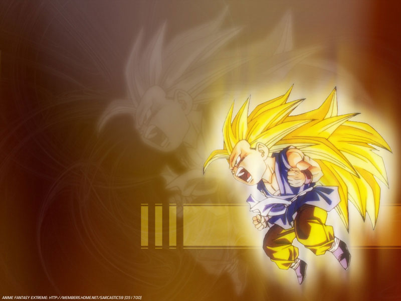 Otaku Gallery  / Anime e Manga / Dragon Ball / Wall Paper / wall032.jpg